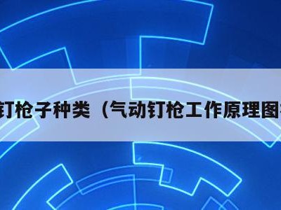 气动钉枪子种类（气动钉枪工作原理图视频）