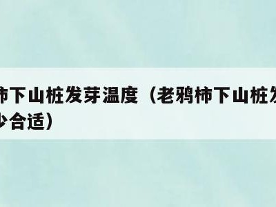 老鸦柿下山桩发芽温度(老鸦柿下山桩发芽温度多少合适)
