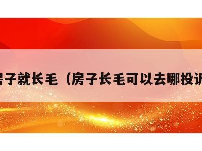 房子就长毛（房子长毛可以去哪投诉）