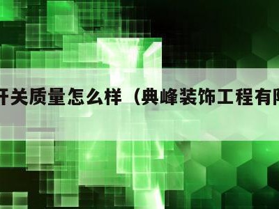 典锋开关质量怎么样(典峰装饰工程有限公司)