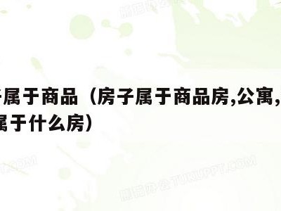 房子属于商品(房子属于商品房,公寓,私产,还属于什么房)