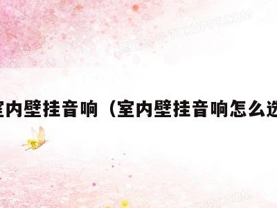 室内壁挂音响（室内壁挂音响怎么选）