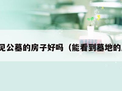 能看见公墓的房子好吗(能看到墓地的房子)