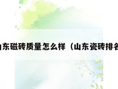 山东磁砖质量怎么样（山东瓷砖排名）