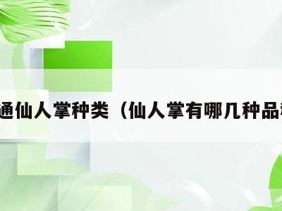 普通仙人掌种类(仙人掌有哪几种品种)