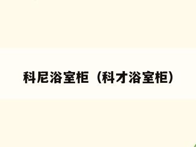 科尼浴室柜(科才浴室柜)
