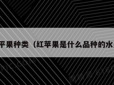 红平果种类（红苹果是什么品种的水果）