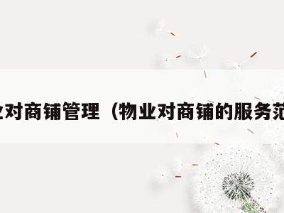 物业对商铺管理(物业对商铺的服务范围)