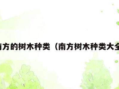 南方的树木种类(南方树木种类大全)