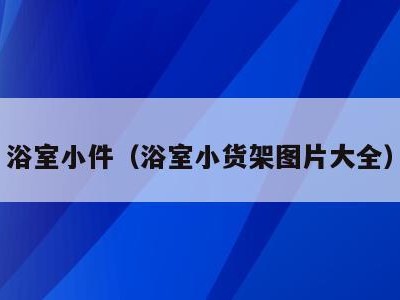 浴室小件（浴室小货架图片大全）