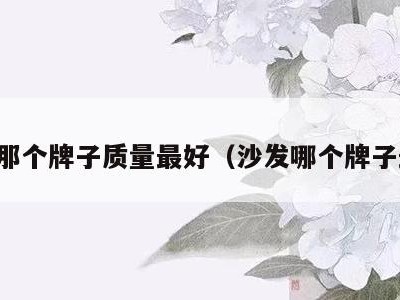 沙发那个牌子质量最好（沙发哪个牌子最好）