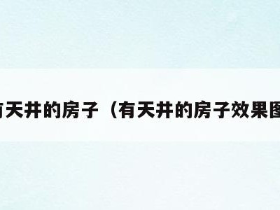 有天井的房子(有天井的房子效果图)