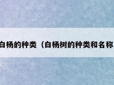 白杨的种类（白杨树的种类和名称）