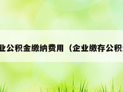 企业公积金缴纳费用（企业缴存公积金）