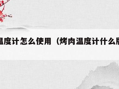 烤肉温度计怎么使用（烤肉温度计什么牌子好）