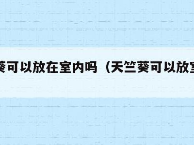 天竺葵可以放在室内吗(天竺葵可以放室内吗?)