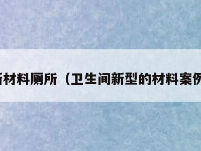新材料厕所(卫生间新型的材料案例)