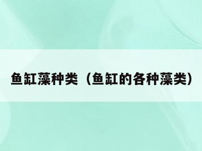鱼缸藻种类(鱼缸的各种藻类)