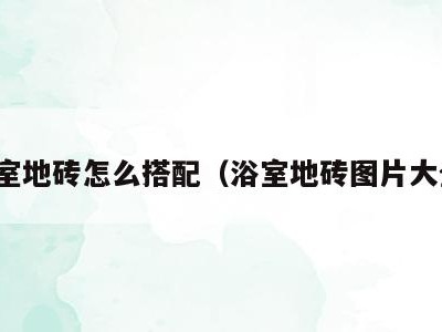 浴室地砖怎么搭配(浴室地砖图片大全)