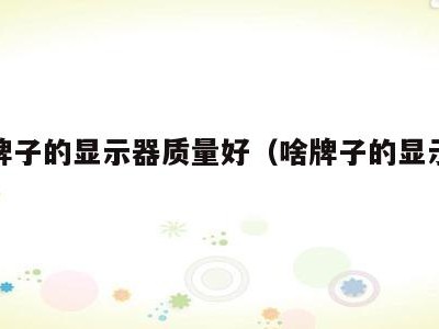 什么牌子的显示器质量好(啥牌子的显示器好)