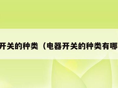 电器开关的种类(电器开关的种类有哪几种)