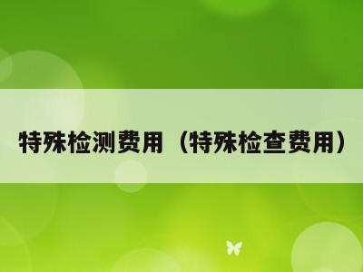 特殊检测费用(特殊检查费用)