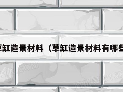 草缸造景材料（草缸造景材料有哪些）