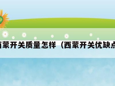 西蒙开关质量怎样（西蒙开关优缺点）