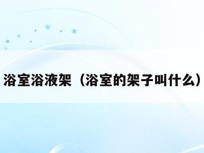 浴室浴液架（浴室的架子叫什么）
