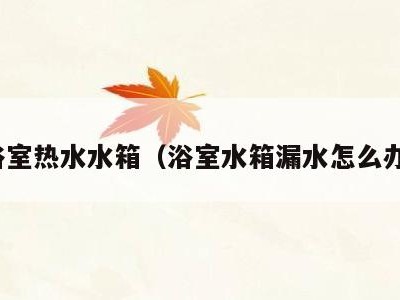 浴室热水水箱（浴室水箱漏水怎么办）