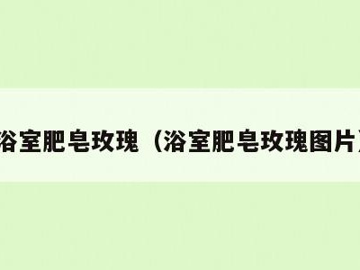 浴室肥皂玫瑰（浴室肥皂玫瑰图片）