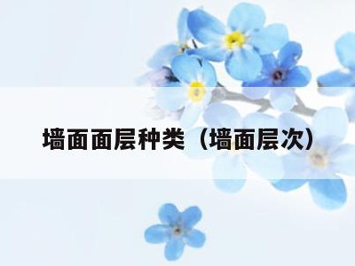 墙面面层种类（墙面层次）