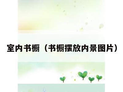 室内书橱（书橱摆放内景图片）