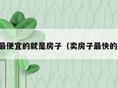 以后最便宜的就是房子（卖房子最快的办法）