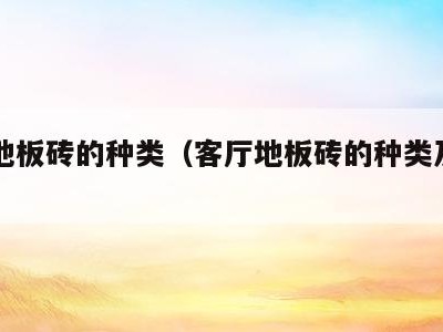 客厅地板砖的种类(客厅地板砖的种类及图片)