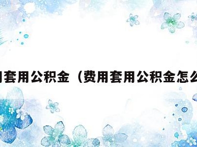费用套用公积金(费用套用公积金怎么算)