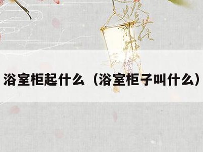 浴室柜起什么(浴室柜子叫什么)