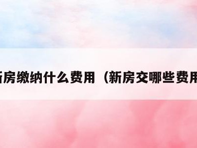 新房缴纳什么费用（新房交哪些费用）