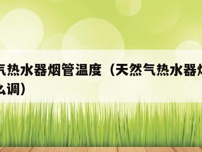 天然气热水器烟管温度（天然气热水器烟管温度怎么调）