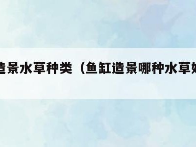 鱼缸造景水草种类（鱼缸造景哪种水草好活新手）