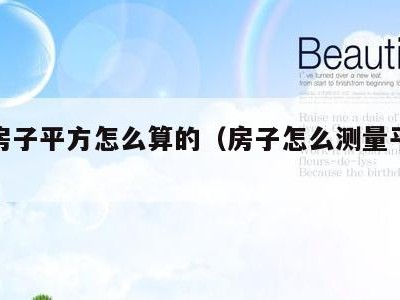 测量房子平方怎么算的(房子怎么测量平方米)