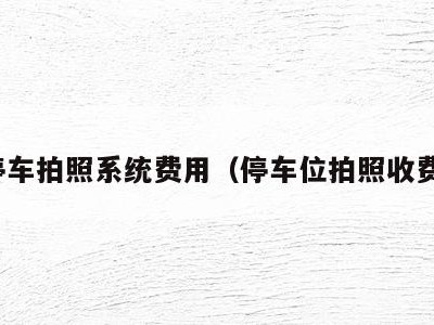 停车拍照系统费用(停车位拍照收费)