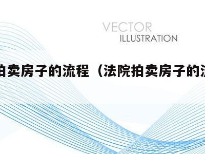 法院拍卖房子的流程(法院拍卖房子的流程定价)