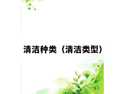 清洁种类(清洁类型)