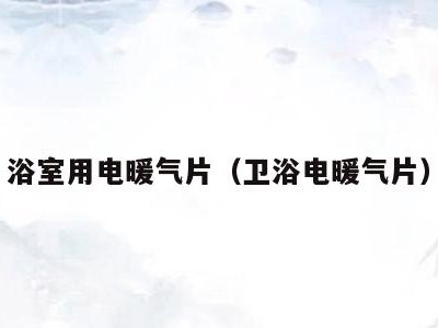 浴室用电暖气片(卫浴电暖气片)