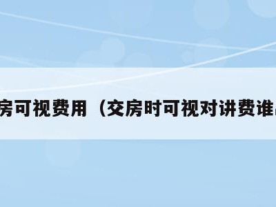 交房可视费用(交房时可视对讲费谁出)