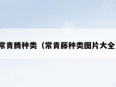 常青腾种类(常青藤种类图片大全)