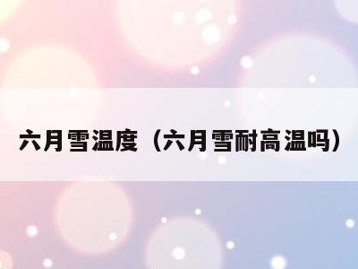 六月雪温度（六月雪耐高温吗）