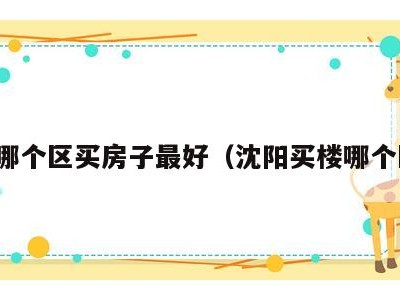 沈阳哪个区买房子最好（沈阳买楼哪个区好）