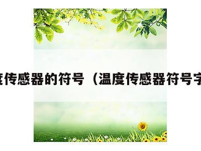 温度传感器的符号（温度传感器符号字母）